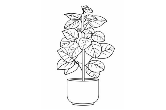 Download Pot Plant Adults Coloring Page - Premium Resources