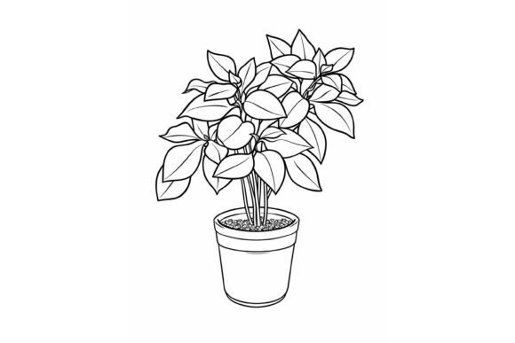 Download Pot Plant Adults Coloring Page - Adults coloring page Collection