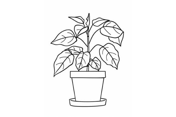 Download Pot Plant Adults Coloring Page - Premium Resources